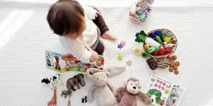 Cognitive development toys