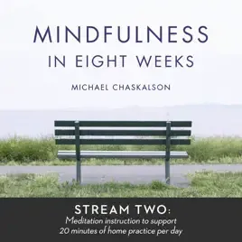 Mindfulness in 8 Weeks