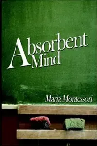 Absorbent Mind