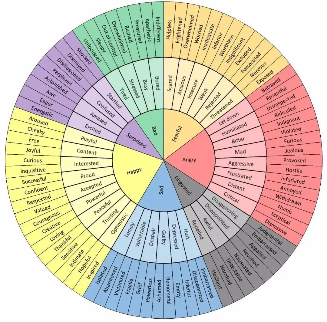 Emotion Pinwheel