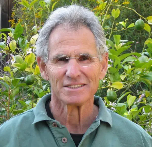 mindfulness based stress reduction jon kabat zinn 