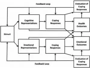 Leventhal’s Self-Regulatory Model adapted from Hagger and Orbell (2003)