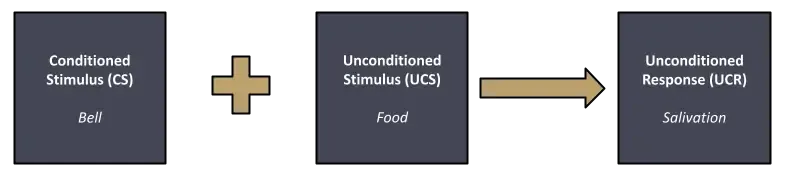 Classical Conditioning Stage 2