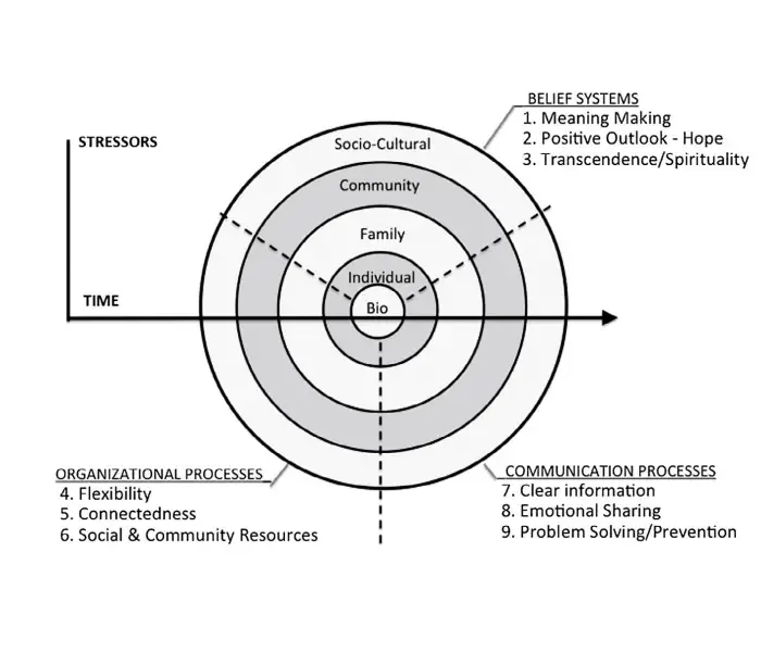 Family Resilience Theory