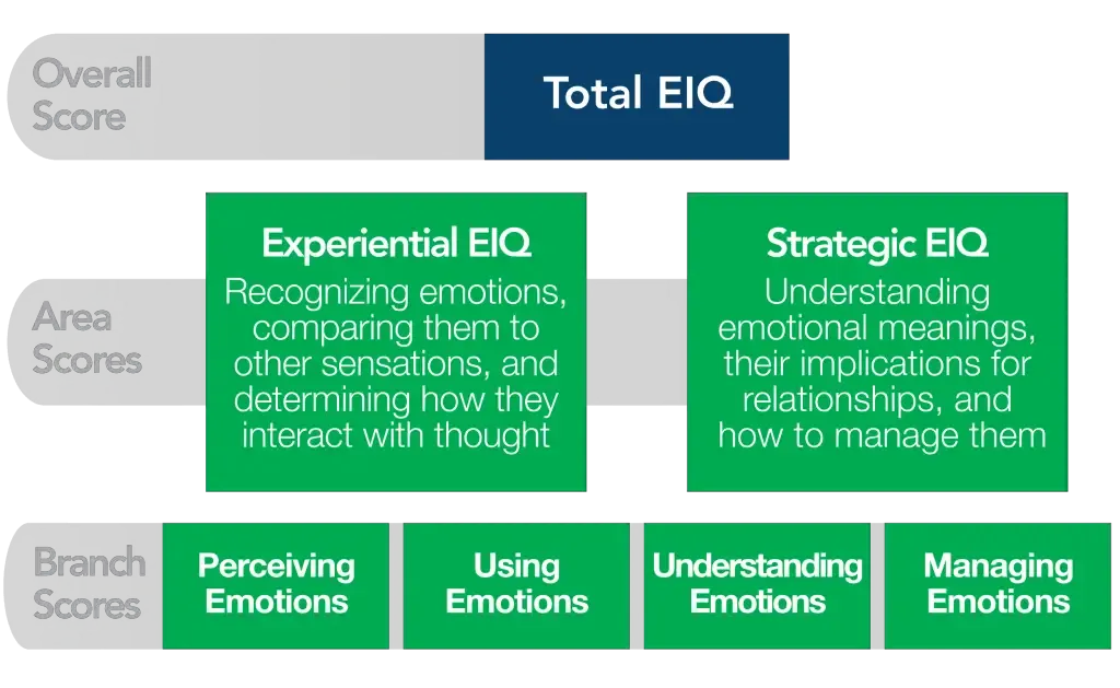 Mayer-Salovey-Caruso Emotional Intelligence Test