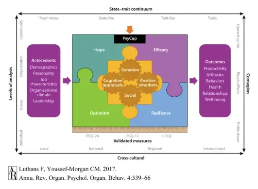 Luthans, Youssef and Avolio (2007) Compound PsyCap Scale (CPC-12)