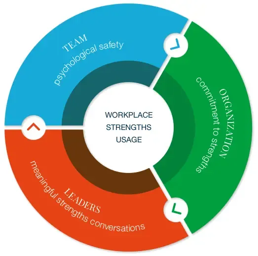 Team Support Strengths